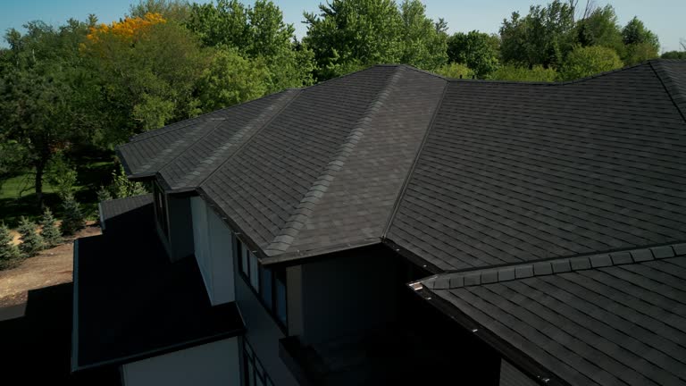 Best Roof Leak Repair  in Mendon, IL