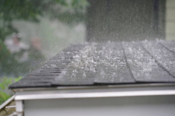 Best Skylight Installation and Repair  in Mendon, IL