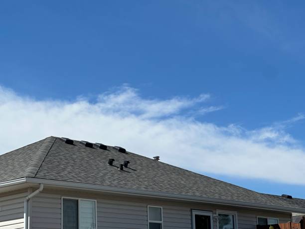 Best Chimney Flashing Repair  in Mendon, IL